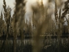 janowiec_fot-j-szyndler_13