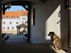 052_fot_maks_skrzeczkowski