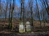 070_fot_maks_skrzeczkowski