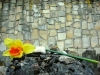 082_fot_maks_skrzeczkowski