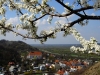 091_fot_maks_skrzeczkowski