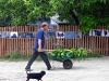 07_fot-tomek_sikora