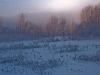 23_fot-tomek_sikora