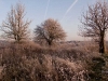 28_fot-tomek_sikora